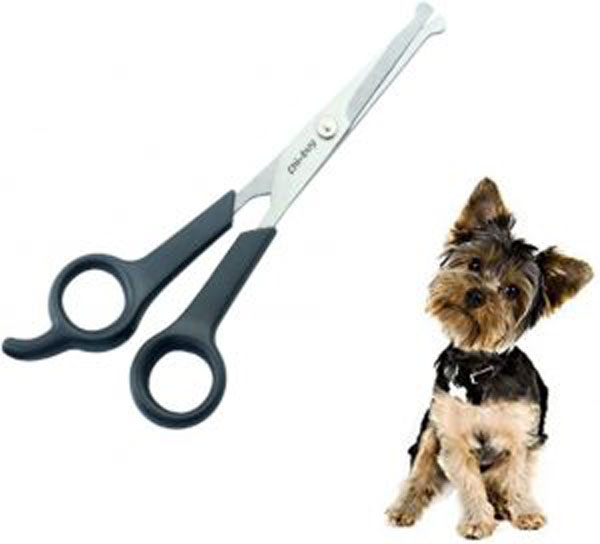 dog-scissors