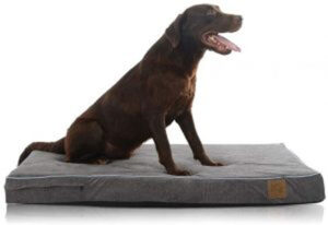 dog’s-car-seat