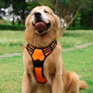best no pull dog harness reviews