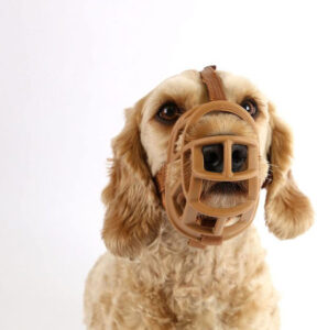 Baskerville-5-Inch-Rubber-Ultra-Muzzle