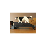 DogTread Premium Small Dog Treadmill