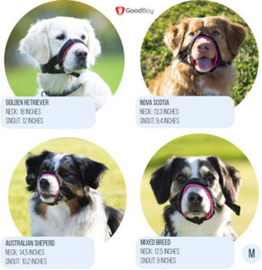 Gentle-Muzzle-Guard-for-Dog