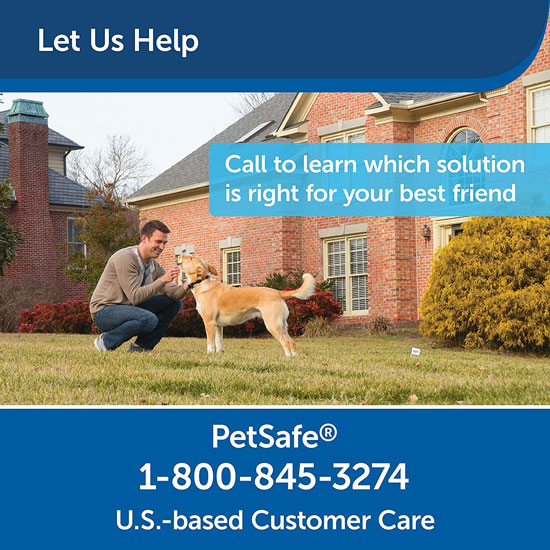 PetSafe-Stay-and-Play-Wireless-Dog