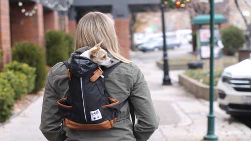 The Best Dog Backpack