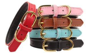 leather dog collars 