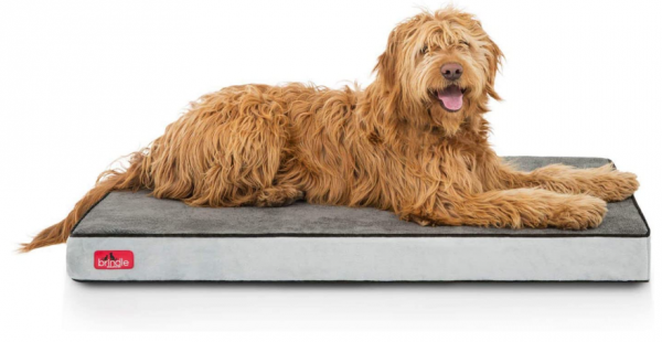 Brindle Waterproof Designer Memory Foam Pet Bed