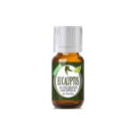 Eucalyptus Essential Oil