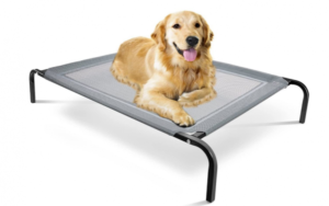 Paws & Pals Elevated Dog Bed