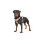 Auroth Dog Harness
