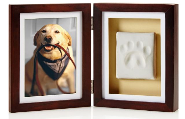 paw print and frame
