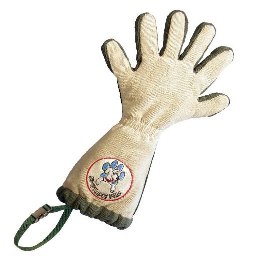 spotless glove