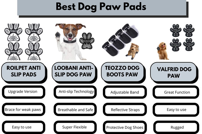 Best Dog Paw Pads Finest Treatment