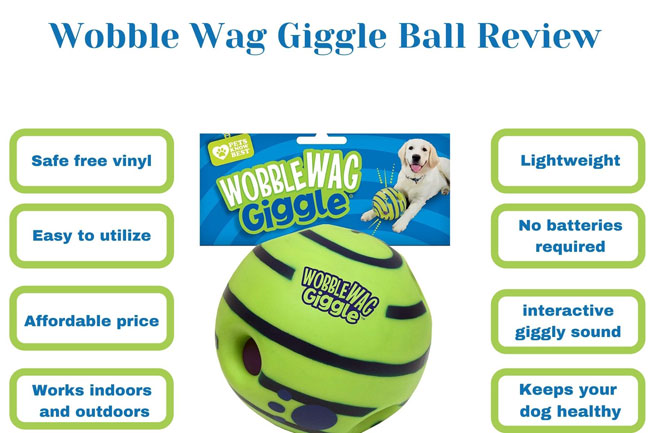 Wobble Wag Giggle Ball Review