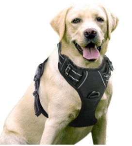 rabbitgoo Dog Harness
