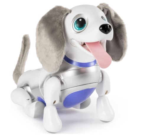 robot dog