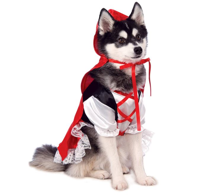halloween costumes for dogs