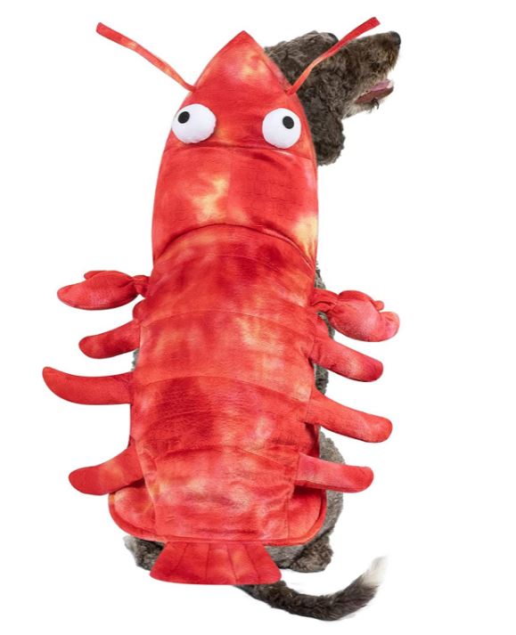 halloween costumes for dogs