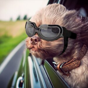 NAMSAN Dog Goggles