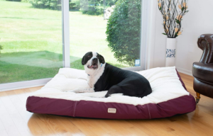 Armarkat Pet Bed Mat Review 
