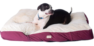 Armarkat Pet Bed Mat Review 