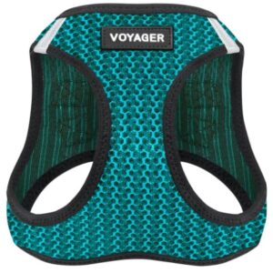 Voyager Step-In Air Dog Harness