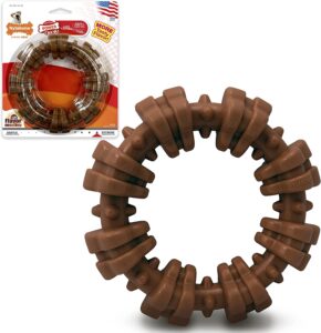 Nylabone Ring Dog Chew Toy