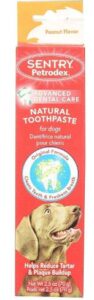 Natural Toothpaste Dog 