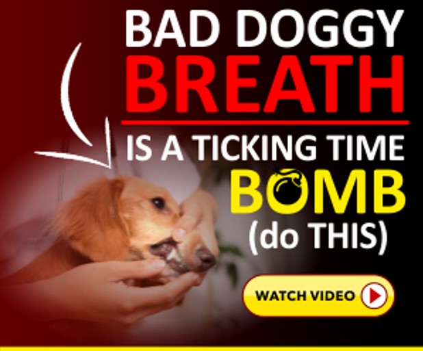 Bad Doggy breath banner