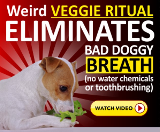 Weird Veggie Eliminates
