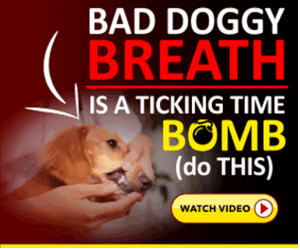 bad dog breath