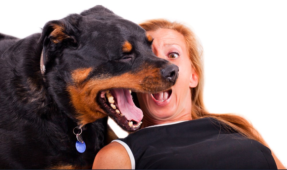 bad dog breath