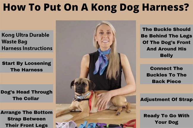 ut-on-a-Kong-Dog-Harness 