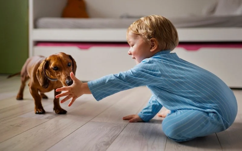 BABY TALK | puppies