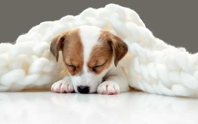 NAPS