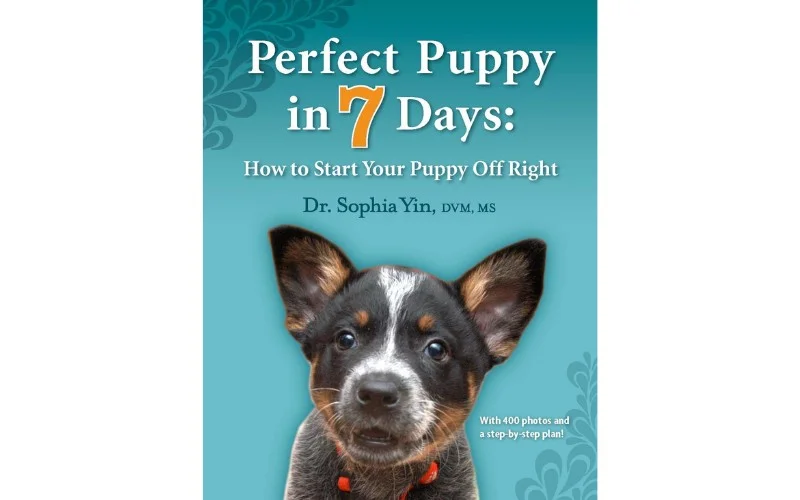 Perfect Puppy in 7 Days