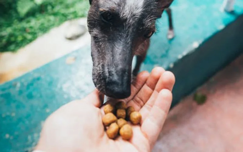 Additional Ingredients | can dogs eat potatoes