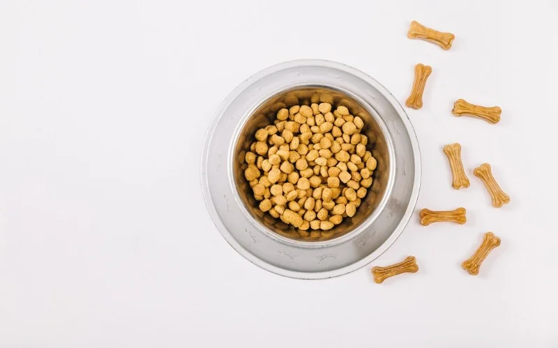 Grain-Free or Not