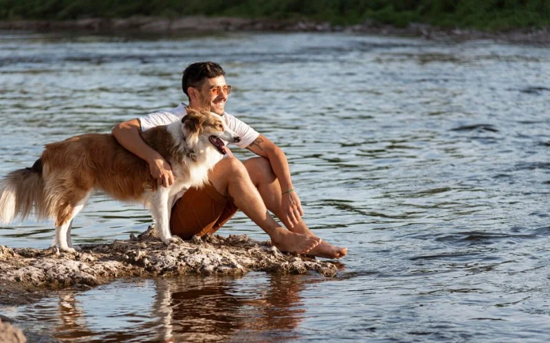 Dogs have incredible