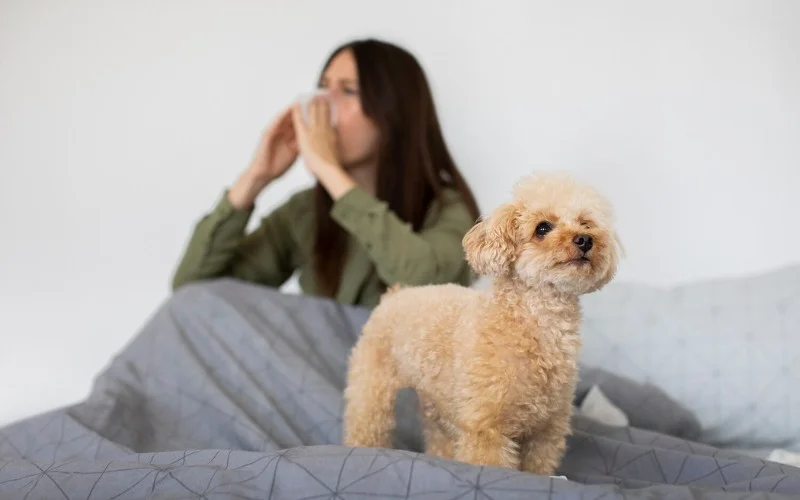 COVID-19 Exposure Risks for Dogs